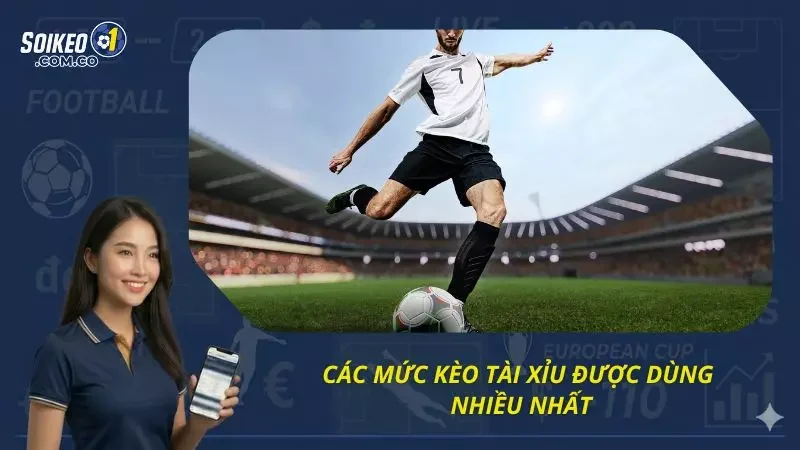 Điểm qua các mức kèo cược tài xỉu có mặt tại nhà cái uy tín